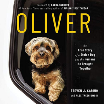 Oliver the Ornament Three Book by Todd M. Zimmermann